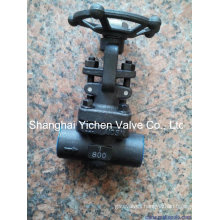 Forged Steel Through Way China Globe Valve (J6(1)1Y)